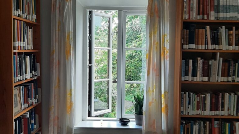 Vy från ett rum med bokhyllor mot en somrig trädgård.