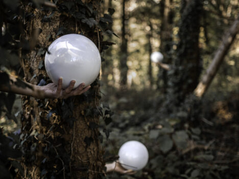 © Petteri Savikorpi