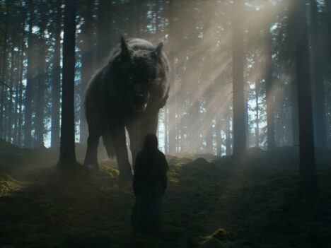 Varg och man i mörk skog