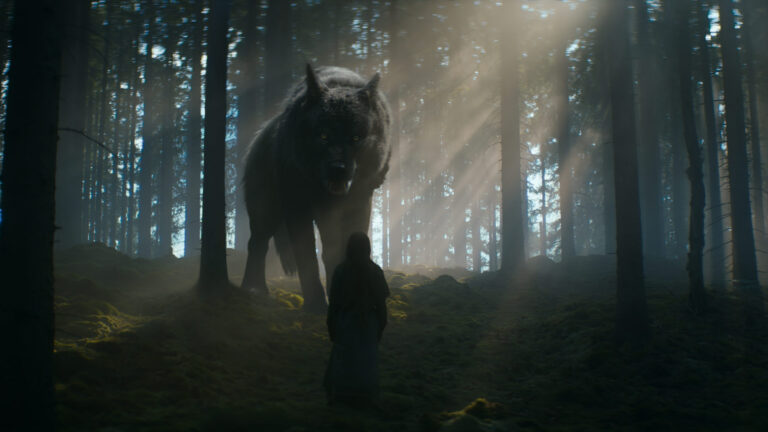 Varg och man i mörk skog