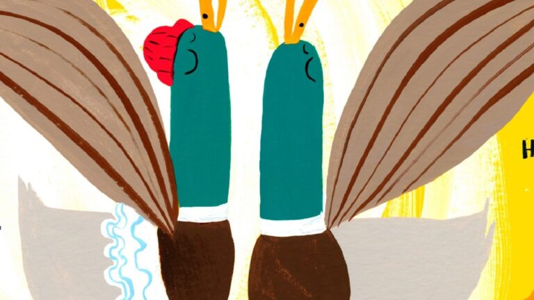 Kuva kirjasta "Sorsa Aaltonen ja lentämisen oireet" Kirjailija: Veera Salmi, kuvittaja: Matti Pikkujämsä. Kaksi sorsaa tanssivat yhdessä.