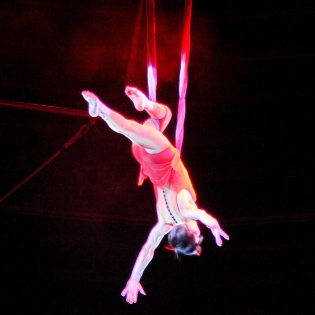 Photo from WikimediaImages